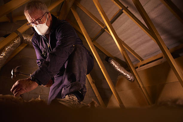 Best Eco-Friendly Insulation in Rafter J Ranch, WY